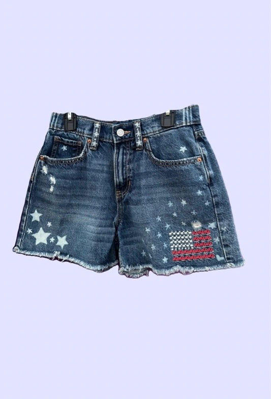 USA Embroidered Shorts ~ Old Navy Women's Size 1/25