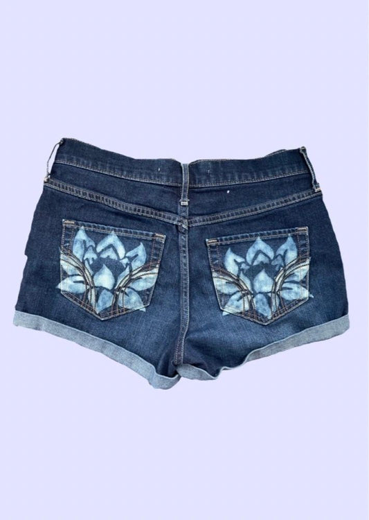 Lotus Shorts ~ Hollister Women's Size 5/27W