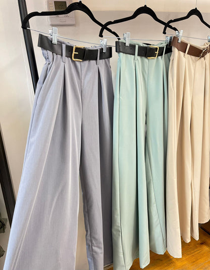 Luann Belted Wide Leg Pants in Gray