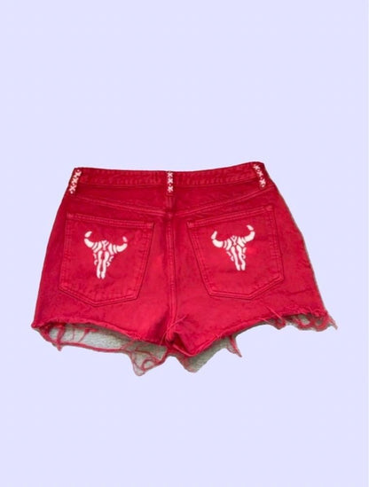 Red Steer Clear Shorts ~ Abercrombie & Fitch Women's Size 10/30